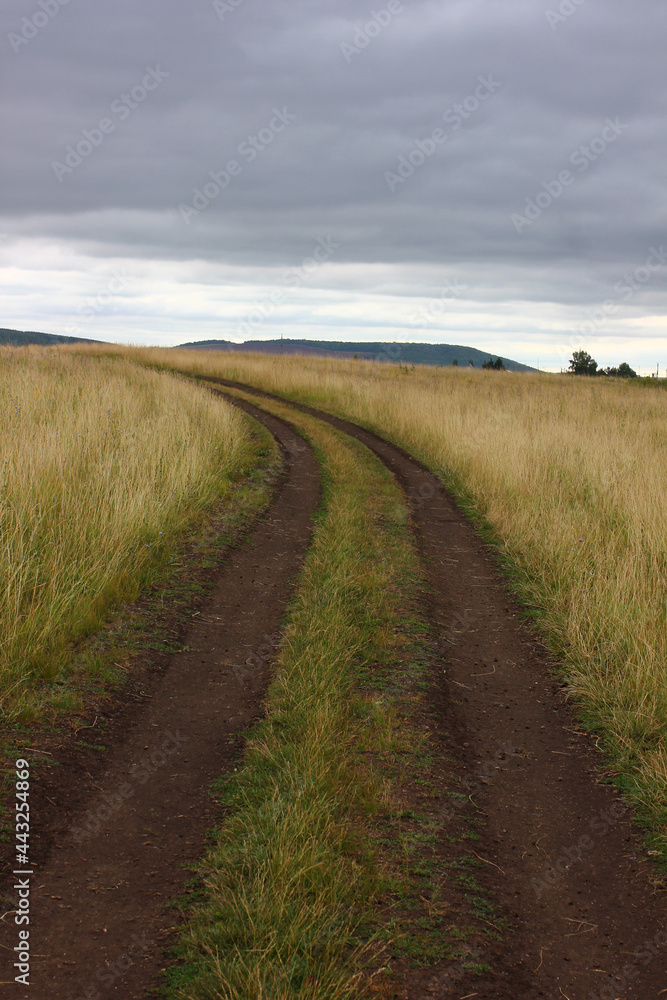 a dirt road in a field that goes beyond the horizon