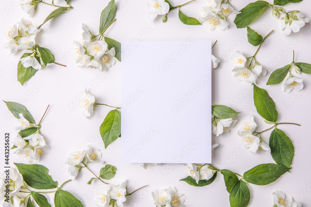 Composition Of Green Leaves And flowers of jasmine With A Blank Sheet For Text On A gray Paper Background. Natural Layout For Postcard. Flat Lay Composition Of Green Leaves And flowers of jasmine With A Blank Sheet For Text On A gray Paper Background. Natural Layout For Postcard. Flat Lay