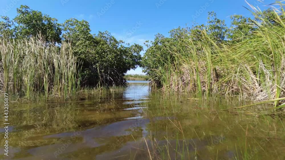 Afternoon kayaking on Nine Mile Pond in Everglades National Park, Florida on calm summer day 4K. Afternoon kayaking on Nine Mile Pond in Everglades National Park, Florida on calm summer day 4K.