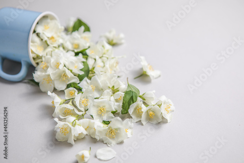Floral composition on gray background with green leaves, flowers in cup flat lay