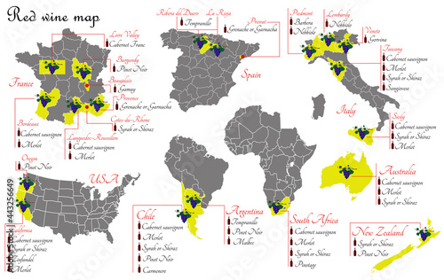 Red wine maps. Wine production maps showing grape varieties. Regions of grape growing for wine production. photo