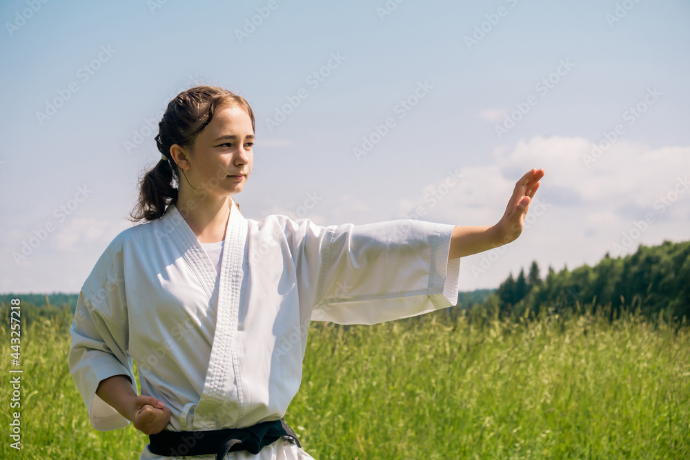 portrait of a teen girl training karate kata outdoors portrait of a teen girl training karate kata outdoors