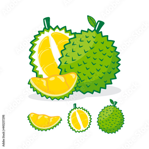 Collection of durian fruits isolated on background.