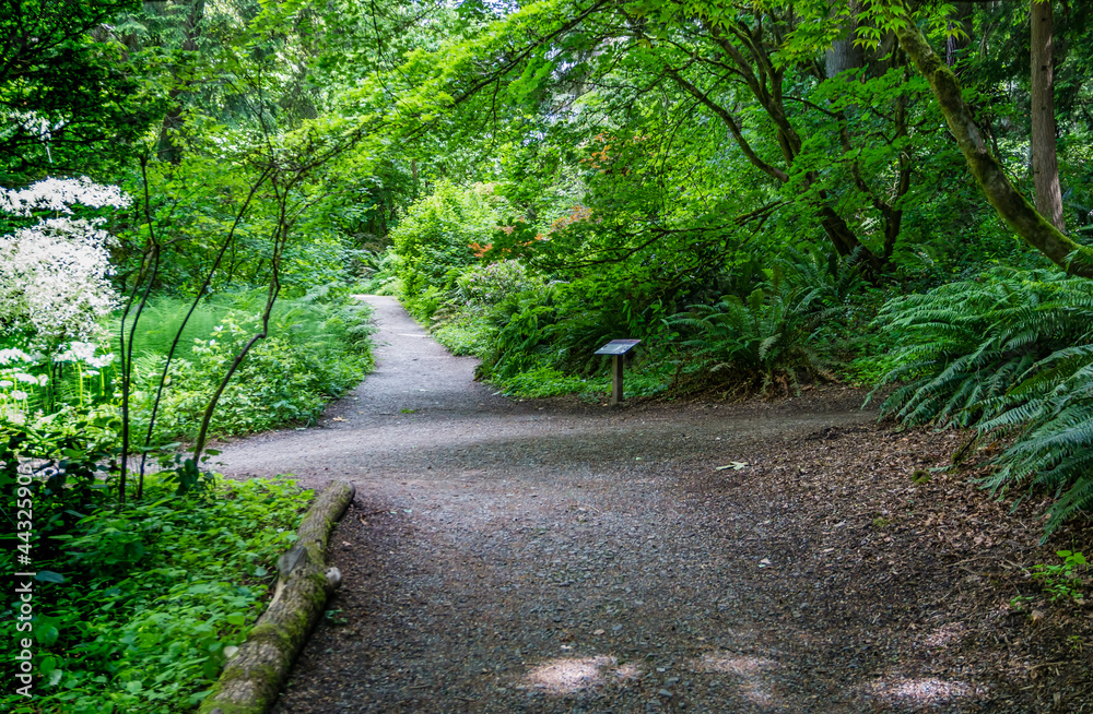 Obraz premium Seattle Garden Trail 7