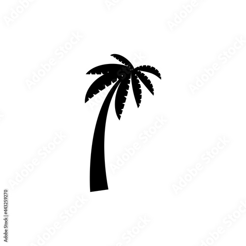 Tropical palm trees  black silhouettes and outline contours on white background.