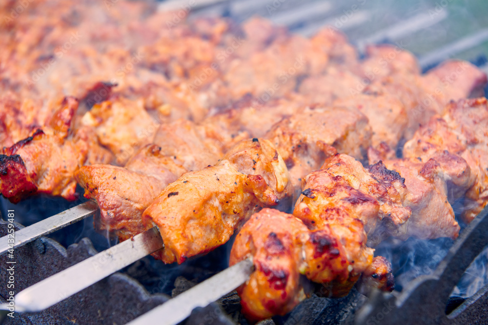 Pieces of delicious barbecued meat on skewer cooking on hot coals. Roast pork meat cooked on grill. Barbecue party on the nature. Close up view.