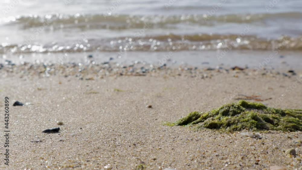Blue sea water view from the coast. View of the water surface from the beach. Background of the water surface at the sunset