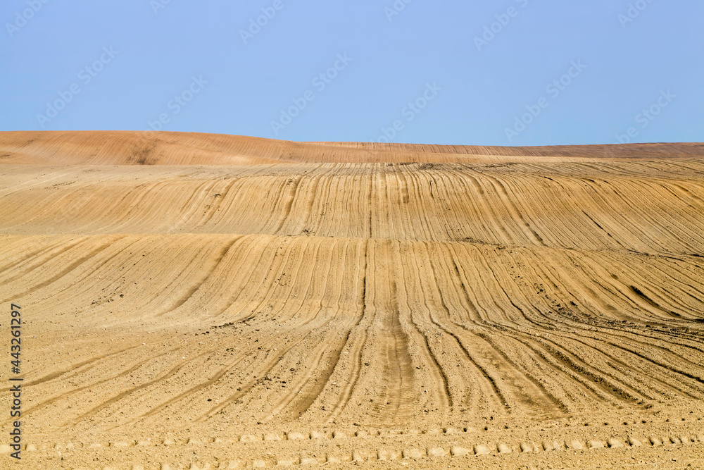 Fototapeta premium agricultural fields with furrows
