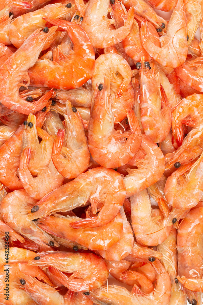Shrimps background texture. A lot of shrimps. Cooked shrimps. Shrimps background texture. A lot of shrimps. Cooked shrimps.