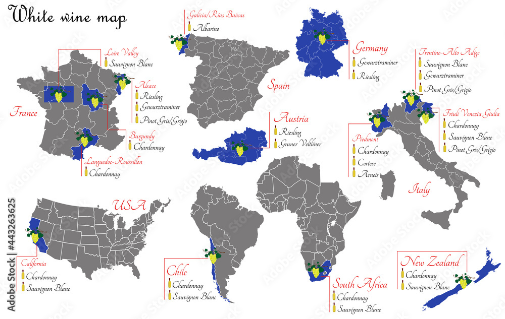 White wine map. Wine production map showing grape varieties. Regions of