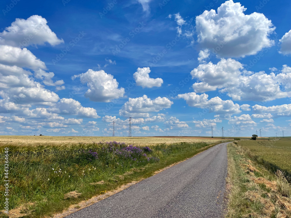 Route de campagne Route de campagne