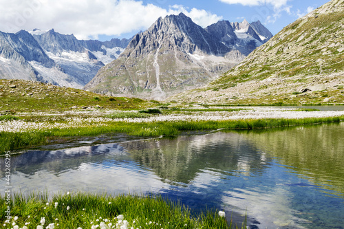 Maerjelensee at the Aletsch Glacier valley with cottengrass at the foreground © Yü Lan