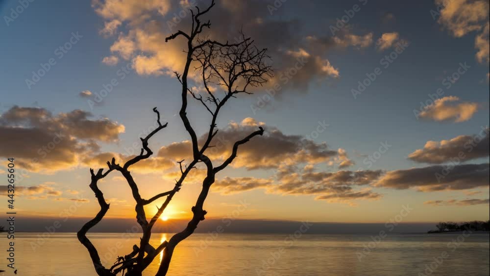 Timelapse of a Sunset over the Ocean on the World Heritage Site Fraser Island in Austrlia Timelapse of a Sunset over the Ocean on the World Heritage Site Fraser Island in Austrlia