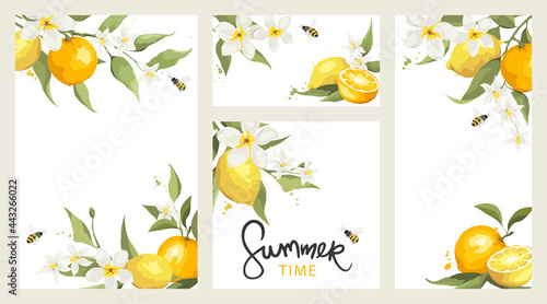 Summer card with jasmine flowers, citrus branch and bees.  Floral design elements for wedding invitation, vector illustration, label.	