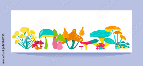 Fabulous colorful mushrooms on a white background. Vector flat illustration.