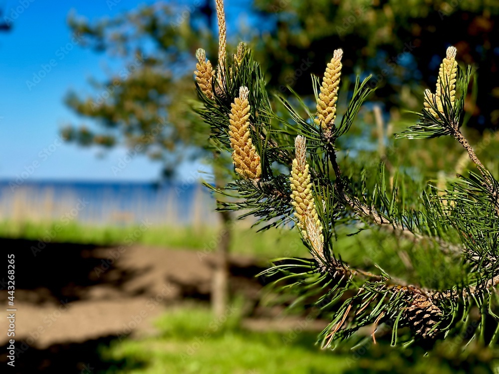 Nature beauty Nature beauty