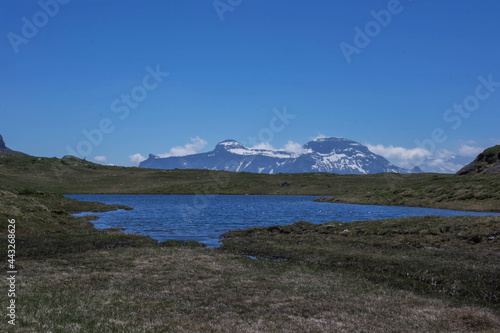 small pond