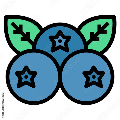 blueberry Color line icon