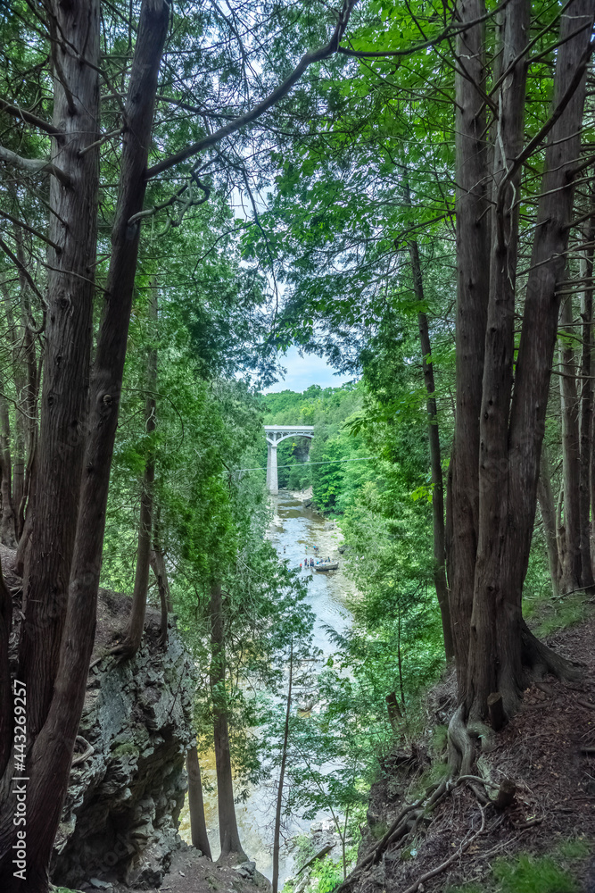 The trees framing the Irvine river with a bridge and zip line in Elora, Ontario.

