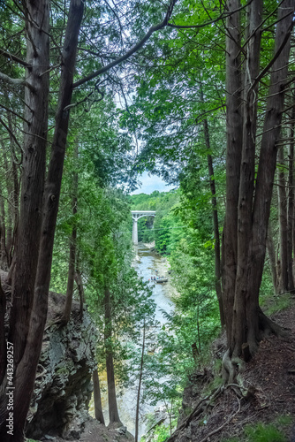 The trees framing the Irvine river with a bridge and zip line in Elora  Ontario.  