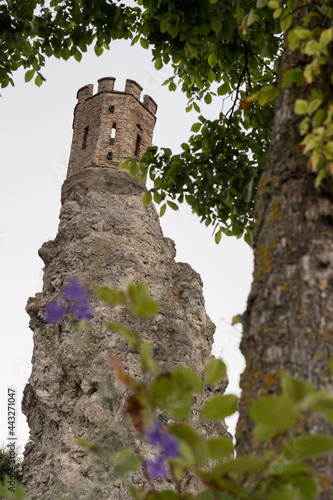 Devin Castle (Hrad Devin), Slovakia