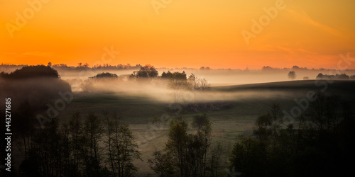 A beautiful landscape of a misty morning during summer. Summertime scenery of Northern Europe.