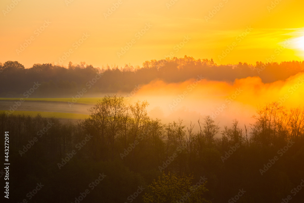 A beautiful landscape of a misty morning during summer. Summertime scenery of Northern Europe. A beautiful landscape of a misty morning during summer. Summertime scenery of Northern Europe.