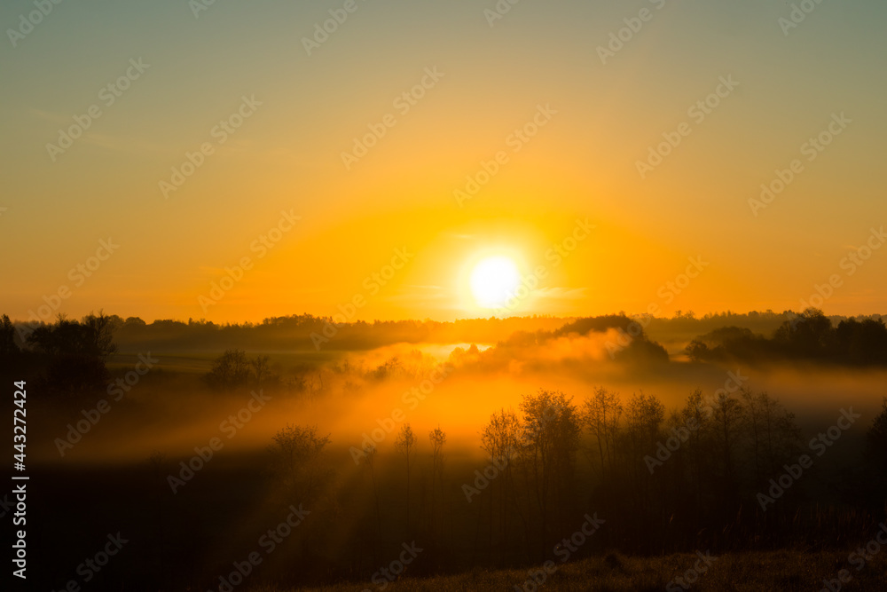 A beautiful landscape of a misty morning during summer. Summertime scenery of Northern Europe. A beautiful landscape of a misty morning during summer. Summertime scenery of Northern Europe.