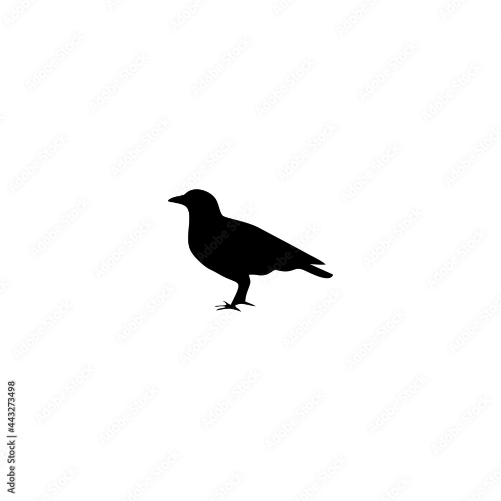 RAVEN LOGO RAVEN LOGO
