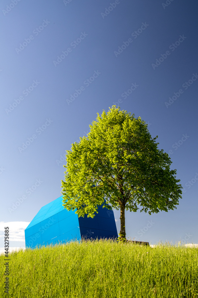 Obraz premium Tree_on_a_hill_1