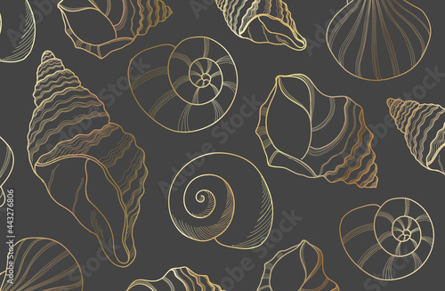 Elegant golden line sea shells, Luxury gold underwater ocean rapana mollusc vector abstract art on gray background illustration