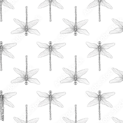 endless pattern of dragonflies on white background