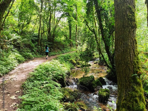 PR AS 137 trail between Valbucar and Busllaz villages, also known as 'Molinos del profundu', Villaviciosa, Asturias, Spain photo