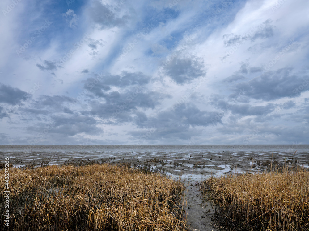 Tzummarum  Friesland