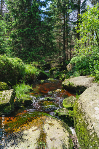 Eckerquerung im Harz