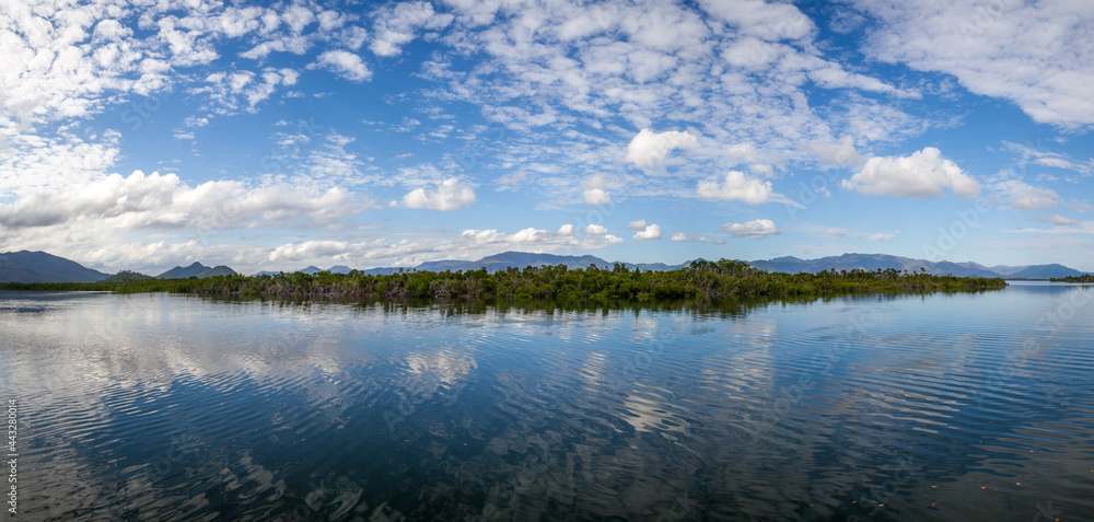 Obraz premium Blue giant panorama of the soothing landscape of the rainforest along the horizon.