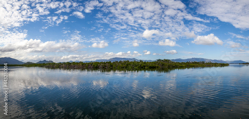 Fototapeta Naklejka Na Ścianę i Meble -  Blue giant panorama of the soothing landscape of the rainforest along the horizon.