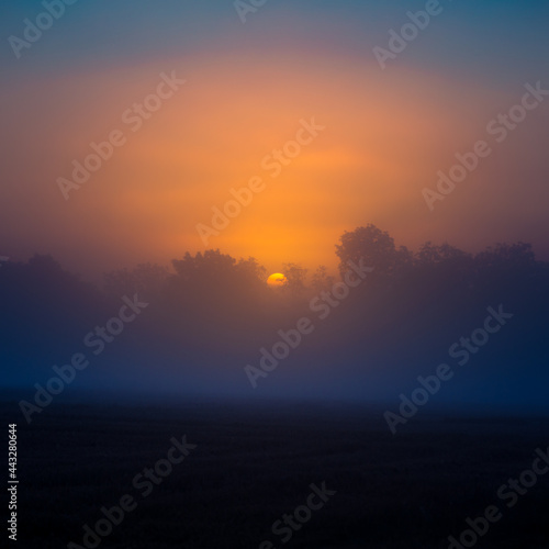 A sun disc shining through the mist during the summer sunrise. Summertime scenery of Northern Europe.