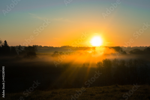 A beautiful scenery with sun rays shining through trees during a misty sunrise. Summertime scenery of Northern Europe.