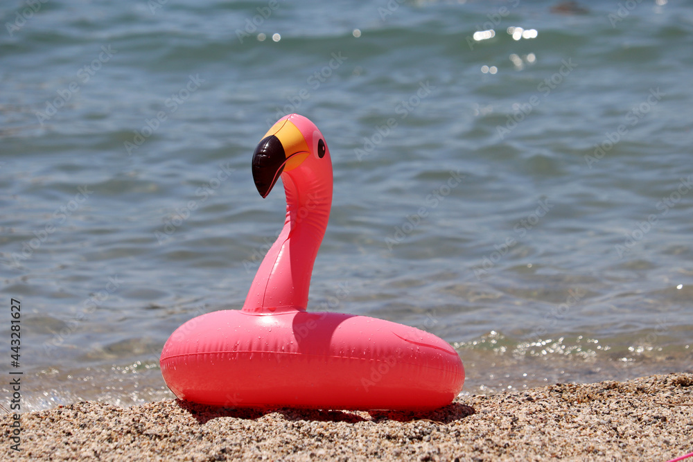 Inflatable circle in the shape of pink flamingo on a sandy beach. Summer leisure, sea vacation