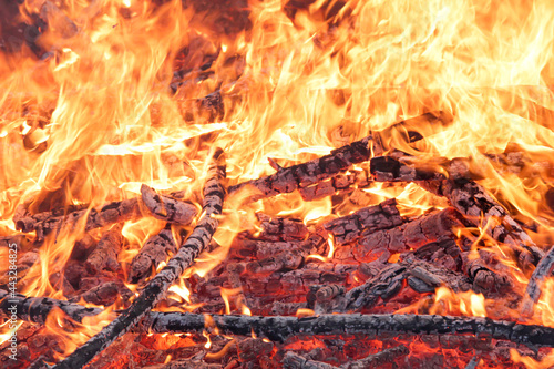 Burning branches on fire. Close-up