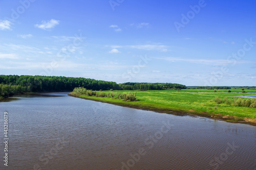 A field, a river and a forest on the background of a blue sky with clouds. Summer landscape