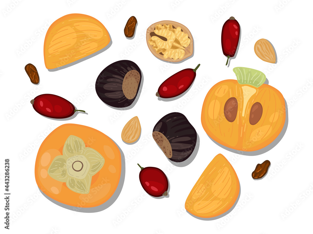 hand-drawn flat Lay, Food knolling style vector illustration of ingredient, isolated on white background. Autumn ingredient nuts, sliced fruit and berries. persimmon, chestnut, walnut, almond, raisin hand-drawn flat Lay, Food knolling style vector illustration of ingredient, isolated on white background. Autumn ingredient nuts, sliced fruit and berries. persimmon, chestnut, walnut, almond, raisin