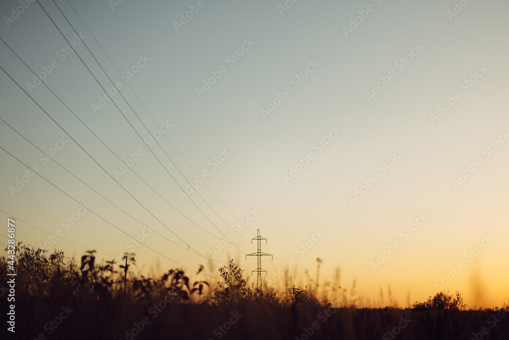 Beautiful autumn field with grass and wildflowers on background of electricity tower with power lines in sunset sky. Wild grass and herbs in fall meadow in evening sunlight. Tranquility