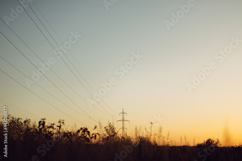 Beautiful autumn field with grass and wildflowers on background of electricity tower with power lines in sunset sky. Wild grass and herbs in fall meadow in evening sunlight. Tranquility