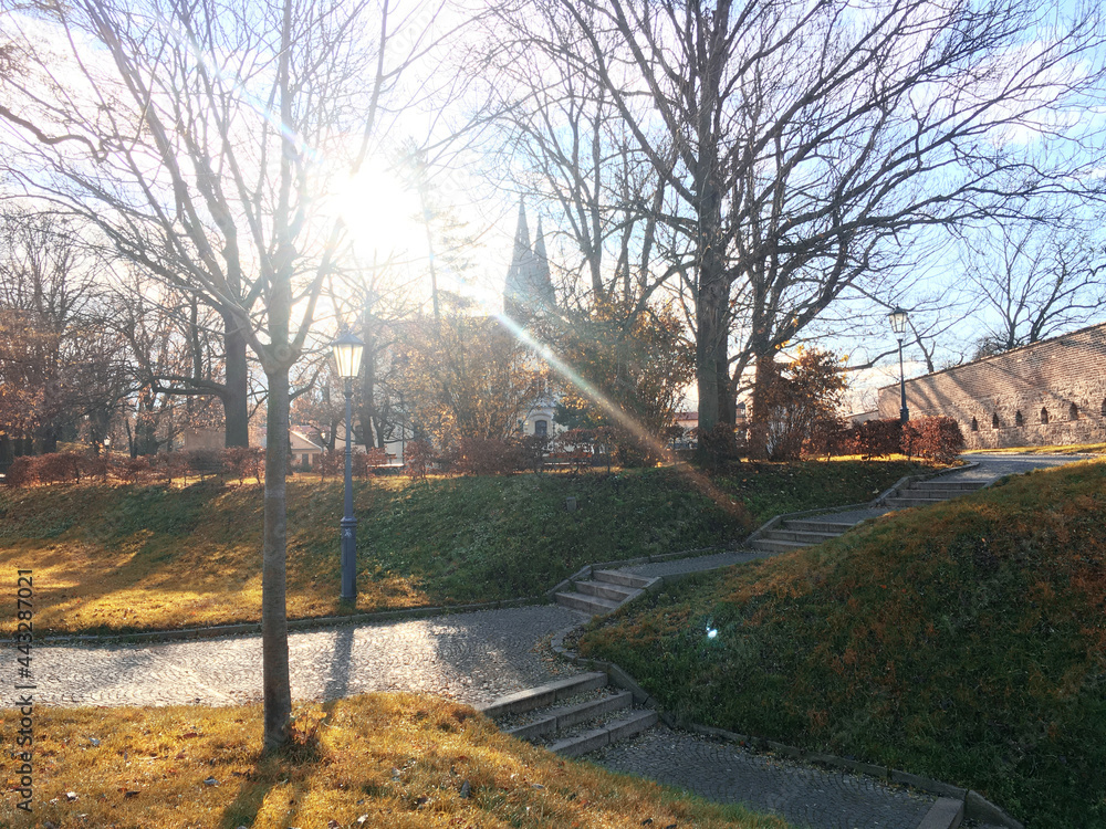 Obraz premium warm peaceful day in the autumn park