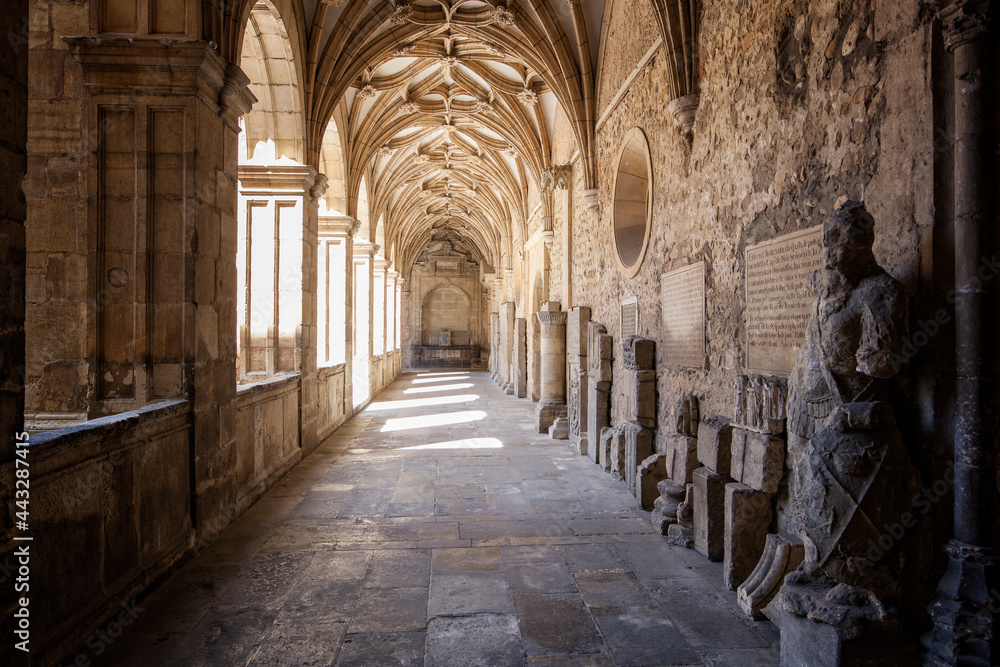 Obraz premium Claustro de la catedral de León España.