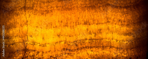 Fotografie Architectural detail of an antique alabaster stone sheet
