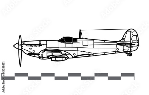 Supermarine Spitfire Mk V. Vector drawing of WW2 British fighter aircraft. Side view. Image for illustration and infographics. photo