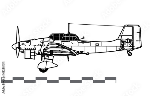 Junkers Ju 87B Stuka. Vector drawing of WW2 German dive bomber and ground-attack aircraft. Side view. Image for illustration and infographics.